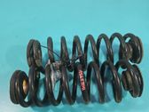 Rear coil spring