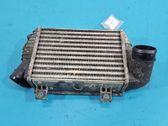 Intercooler radiator