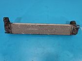 Radiador intercooler