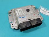 Engine control unit/module ECU