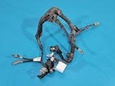 Negative earth cable (battery)