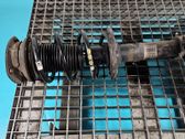 Front shock absorber/damper