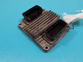 Engine control unit/module ECU