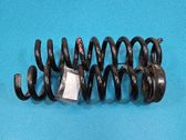 Rear coil spring