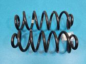 Muelle espiral trasero