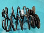 Rear coil spring