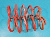 Front coil spring