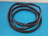 Front door rubber seal