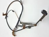Rear ABS sensor wiring