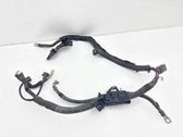 Wires (starter motor)
