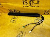 Tailgate/trunk strut/damper