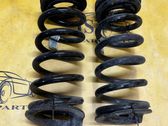 Rear coil spring