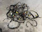 Other wiring loom
