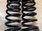 Rear coil spring