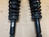 Rear shock absorber/damper