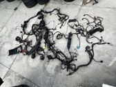 Mazo de cables