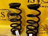 Muelle espiral trasero