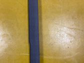 Front sill (body part)