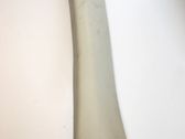 (A) pillar trim