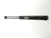 Front bonnet/hood damper/strut