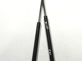 Tailgate/trunk strut/damper