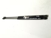 Tailgate/trunk strut/damper