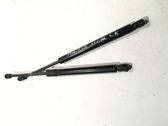 Tailgate/trunk strut/damper