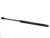 Tailgate/trunk strut/damper