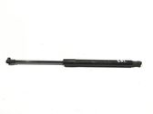 Tailgate/trunk strut/damper