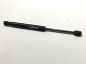 Front bonnet/hood damper/strut
