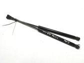 Tailgate/trunk strut/damper