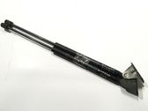 Front bonnet/hood damper/strut