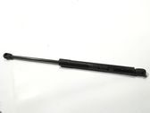 Tailgate/trunk strut/damper