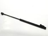 Tailgate/trunk strut/damper
