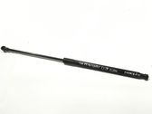 Tailgate/trunk strut/damper