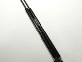 Tailgate/trunk strut/damper