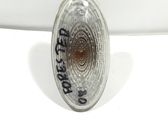 Front fender indicator light