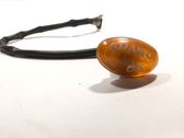 Front fender indicator light