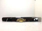 Trunk door license plate light bar
