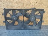 Electric radiator cooling fan