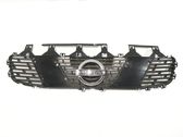 Atrapa chłodnicy / Grill