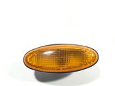 Front fender indicator light