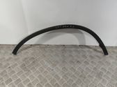 Fender trim (molding)