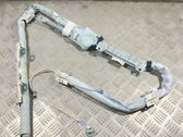 Airbag de toit