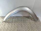 Fender trim (molding)