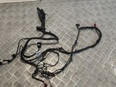 Front door wiring loom