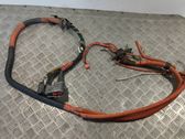 Other wiring loom