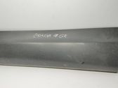 Rear door trim (molding)