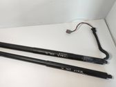Tailgate/trunk strut/damper