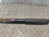 Stoßdämpfer hinten